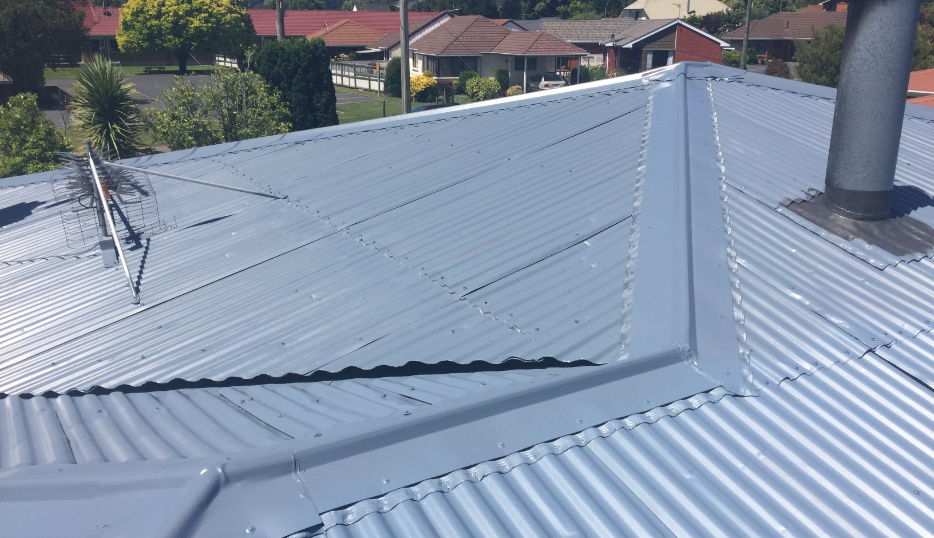 Roof Coating Dunedin